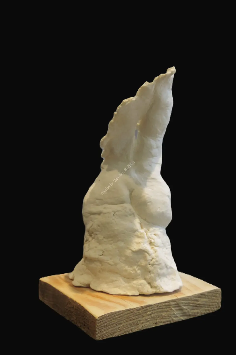 Dos II · porcelaine papier · 9 × 5 × 3 cm