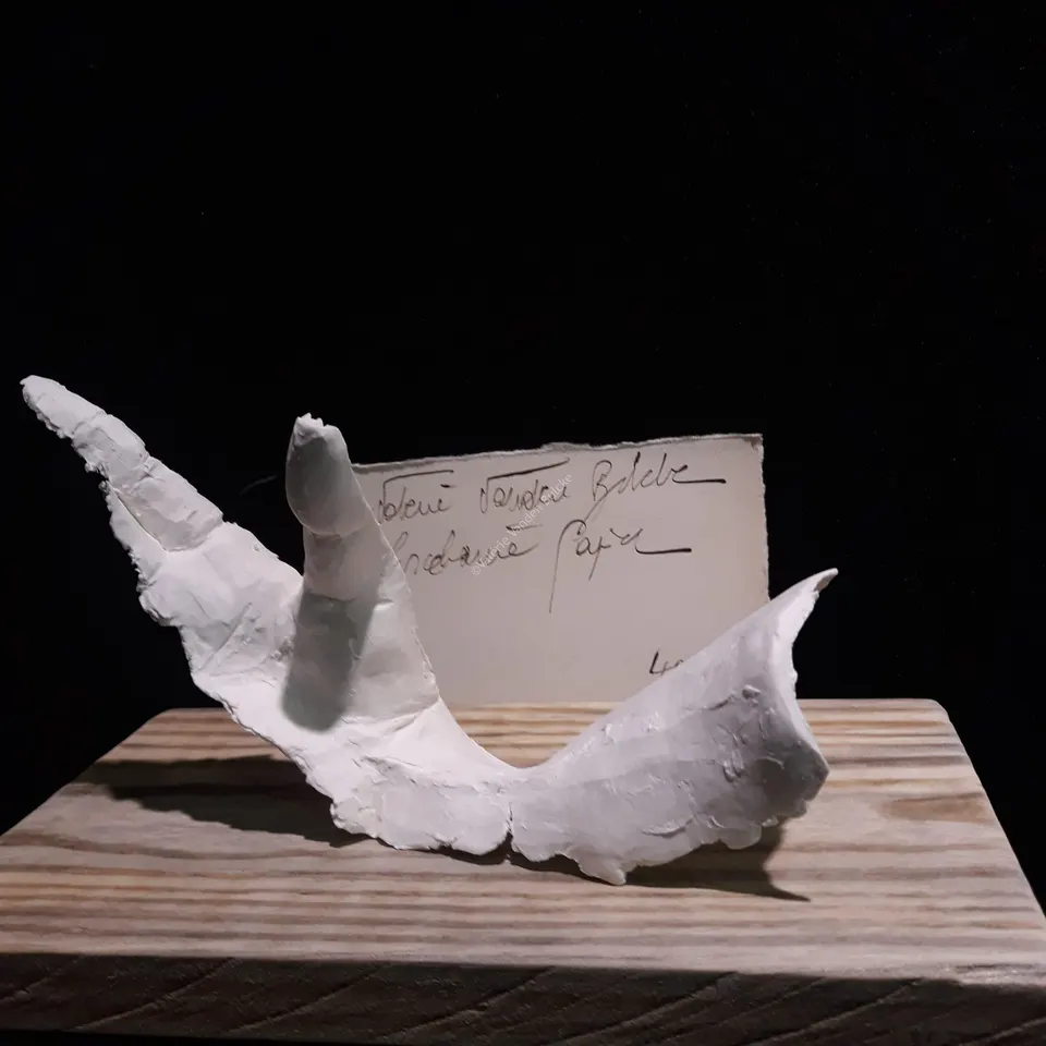 Silhouette · porcelaine papier · 25 × 10 × 8 cm